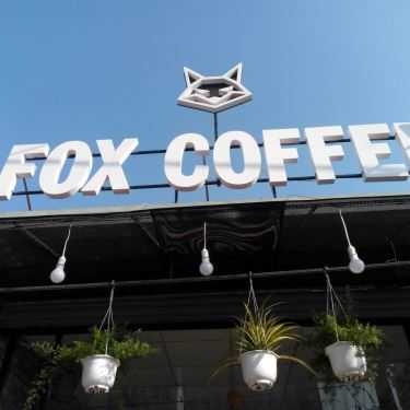 Tổng hợp- Fox Coffee - Nguyễn Duy Trinh