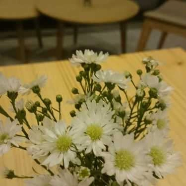Tổng hợp- Freelance Cafe