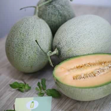 Tổng hợp- Ăn vặt Fruits+ - Trái Cây & Sinh Tố