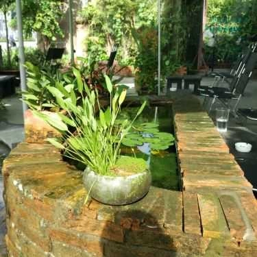 Tổng hợp- Fruzii - Smoothies Juices & Coffee - Bạch Đằng