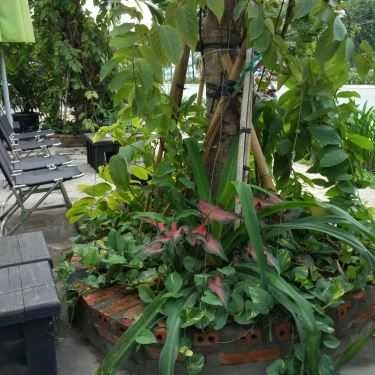 Tổng hợp- Fruzii - Smoothies Juices & Coffee - Bạch Đằng