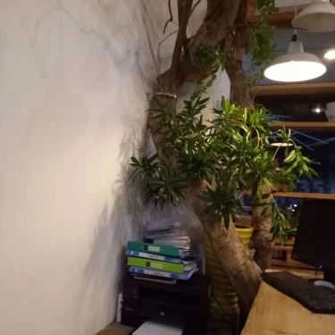 Tổng hợp- Cafe Fun Fruit World - Sinh Tố & Nước Ép - Nguyễn Đức Cảnh