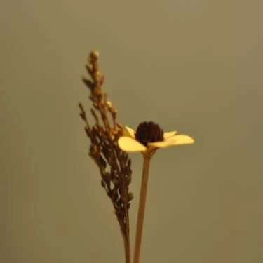 Tổng hợp- Gentle Coffee