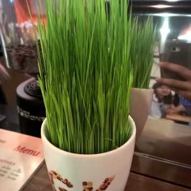 Tổng hợp- GK Coffee & Snack - Trần Hưng Đạo