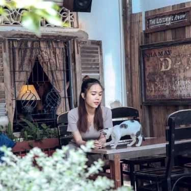 Tổng hợp- Gỗ Mục Coffee