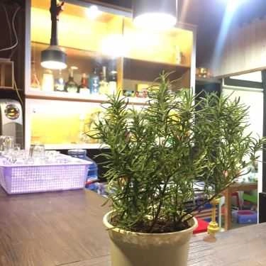 Tổng hợp- Gocsi Cafe