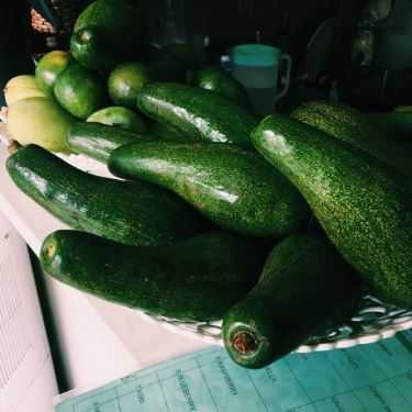 Tổng hợp- Cafe Gone Green - Sinh Tố, Nước Ép & Trà Sữa