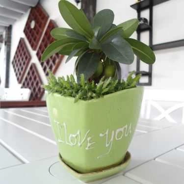 Tổng hợp- Green Garden Cafe - Kha Vạn Cân