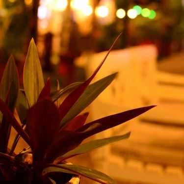 Tổng hợp- Green Garden Cafe - Kha Vạn Cân