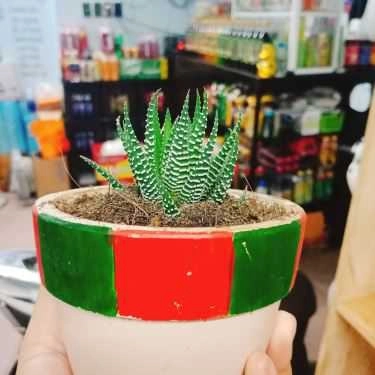 Tổng hợp- Cafe Green Life - Trà Sữa