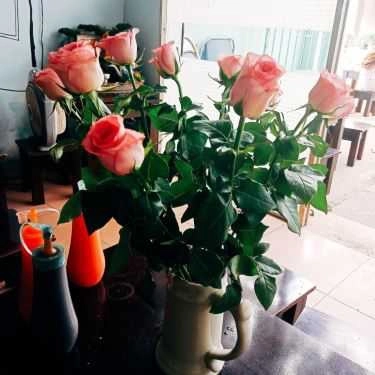 Tổng hợp- Cafe Green Life - Trà Sữa
