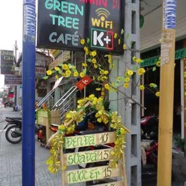 Tổng hợp- Green Tree Cafe