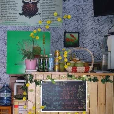 Tổng hợp- Green Tree Cafe