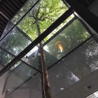 Tổng hợp- Greenberry Coffee & Tea