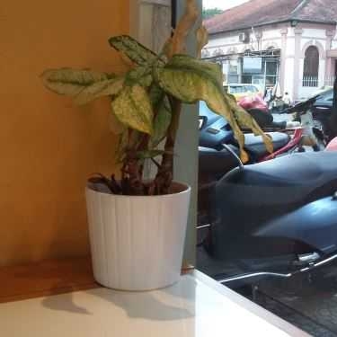 Tổng hợp- Cafe Guanabana Smoothie Bar - Lý Tự Trọng
