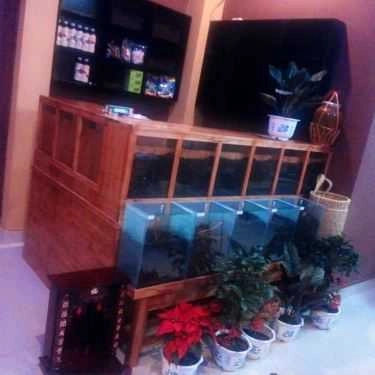Tổng hợp- Gùi Coffee