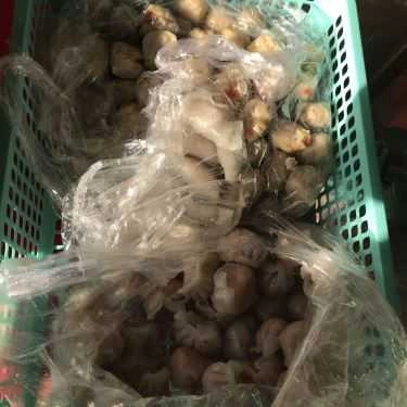 Món ăn- Ăn vặt Há Cảo Vuông, Xíu Mại & Bánh Xếp