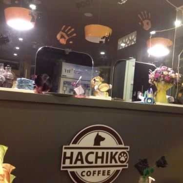 Tổng hợp- Hachiko Coffee - Cafe Thú Cưng