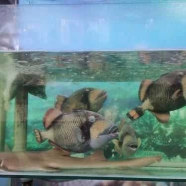 Tổng hợp- Quán Nhậu Hải Sản 214