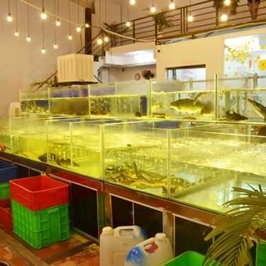 Tổng hợp- Quán Nhậu Ẩm Thực Minh Thư - Hải Sản & Dê
