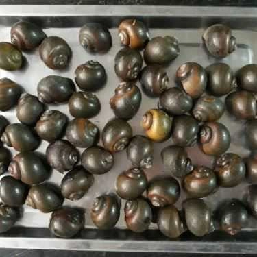 Tổng hợp- Quán Nhậu Hải Sản Ốc 19A