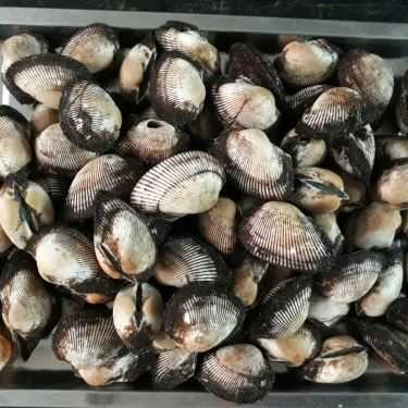 Tổng hợp- Quán Nhậu Hải Sản Ốc 19A