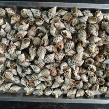 Tổng hợp- Quán Nhậu Hải Sản Ốc 19A