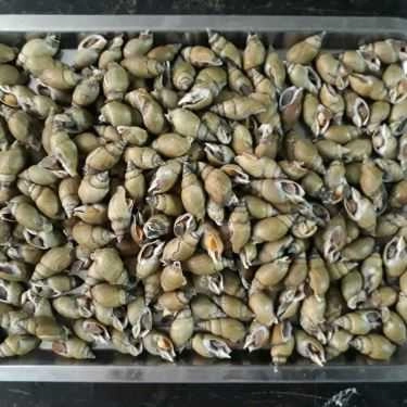 Tổng hợp- Quán Nhậu Hải Sản Ốc 19A