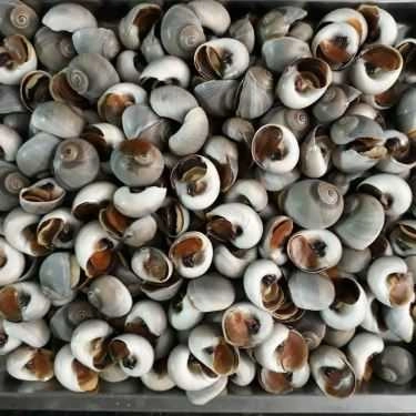 Tổng hợp- Quán Nhậu Hải Sản Ốc 19A