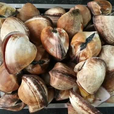 Tổng hợp- Quán Nhậu Hải Sản Ốc 19A