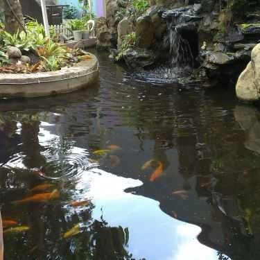 Tổng hợp- Cafe Happy Garden - Nguyễn Ánh Thủ