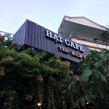 Tổng hợp- Hạt Coffee - Phạm Huy Thông