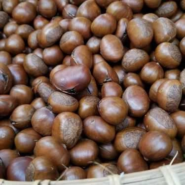 Món ăn- Ăn vặt Hạt Dẻ Sài Gòn - Thảo Điền