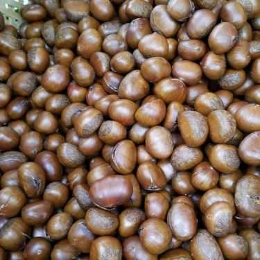 Món ăn- Ăn vặt Hạt Dẻ Sài Gòn - Thảo Điền