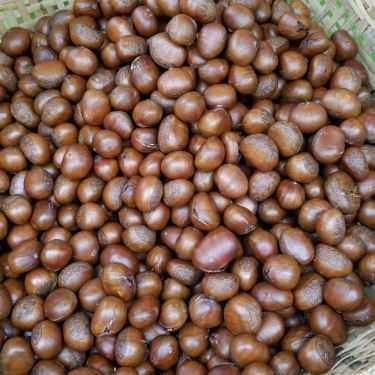 Món ăn- Ăn vặt Hạt Dẻ Sài Gòn - Thảo Điền