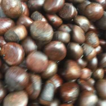 Món ăn- Ăn vặt Hạt Dẻ Sài Gòn - Thảo Điền
