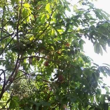 Tổng hợp- HD Coffee - Lê Lợi