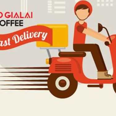 Tổng hợp- HD Gia Lai Coffee - 24h