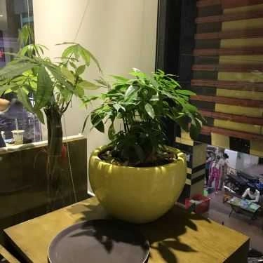 Tổng hợp- Hebe Tea & Coffee - Sư Vạn Hạnh