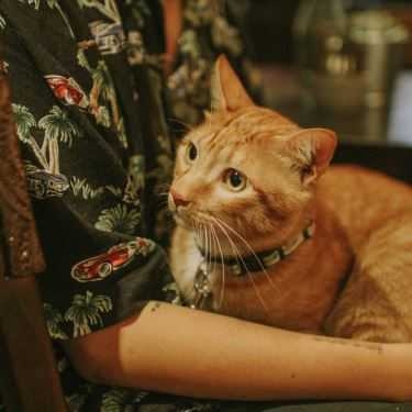 Tổng hợp- Hedwig Coffee