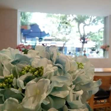 Tổng hợp- Cafe Hefkcha - Trà sữa - Phan Xích Long