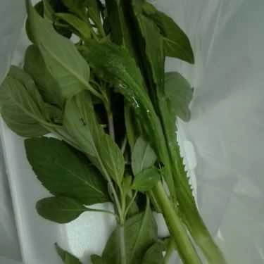 Tổng hợp- Ăn vặt Heo Mọi Nướng - Phạm Hùng