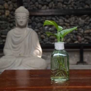 Tổng hợp- Quán Ăn Nhà Hàng Chay Here & Now