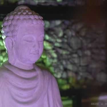 Tổng hợp- Quán Ăn Nhà Hàng Chay Here & Now