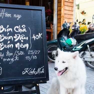 Tổng hợp- HF Cafe & Cơm Trưa Văn Phòng