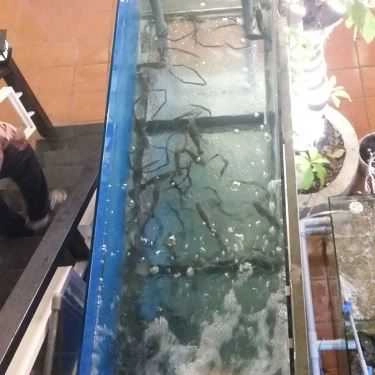 Tổng hợp- Quán Nhậu Hi Lẩu Tôm - Hải Sản & Các Món Nhậu Bình Dân