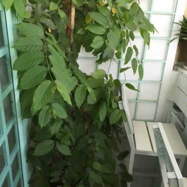 Tổng hợp- Hide Coffee