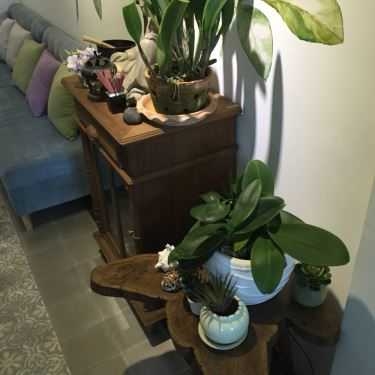 Tổng hợp- Hide Coffee