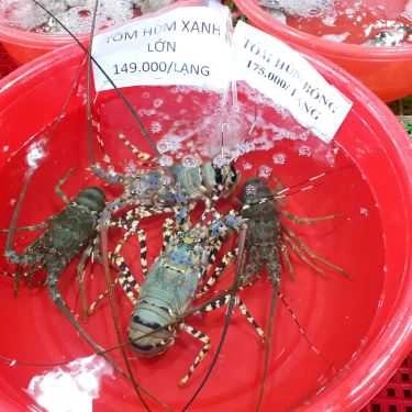 Tổng hợp- Quán Nhậu Hiếu Hào Sữa