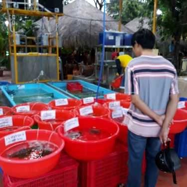 Tổng hợp- Quán Nhậu Hiếu Hào Sữa